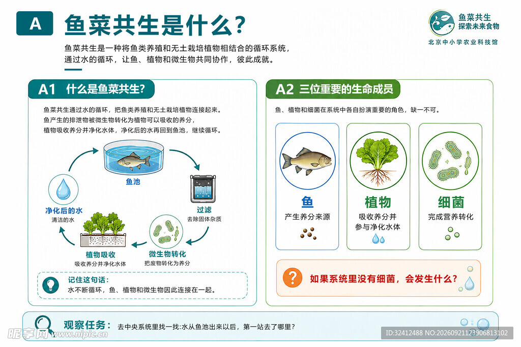 鱼菜共生系统介绍