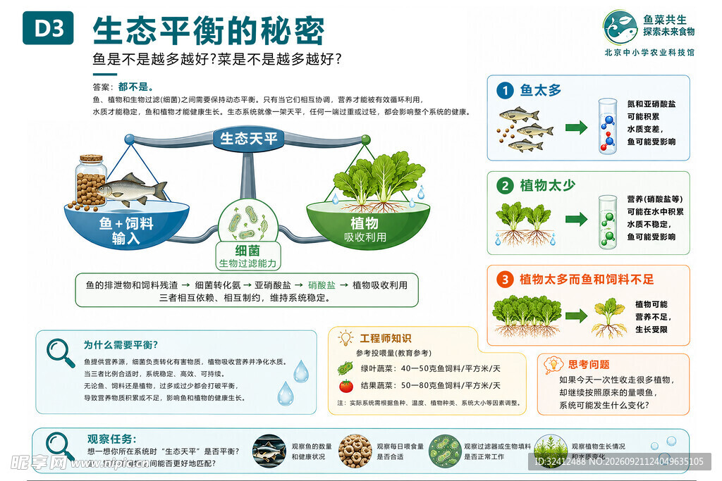 生态平衡的秘密解读