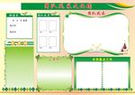 团队风采文化墙