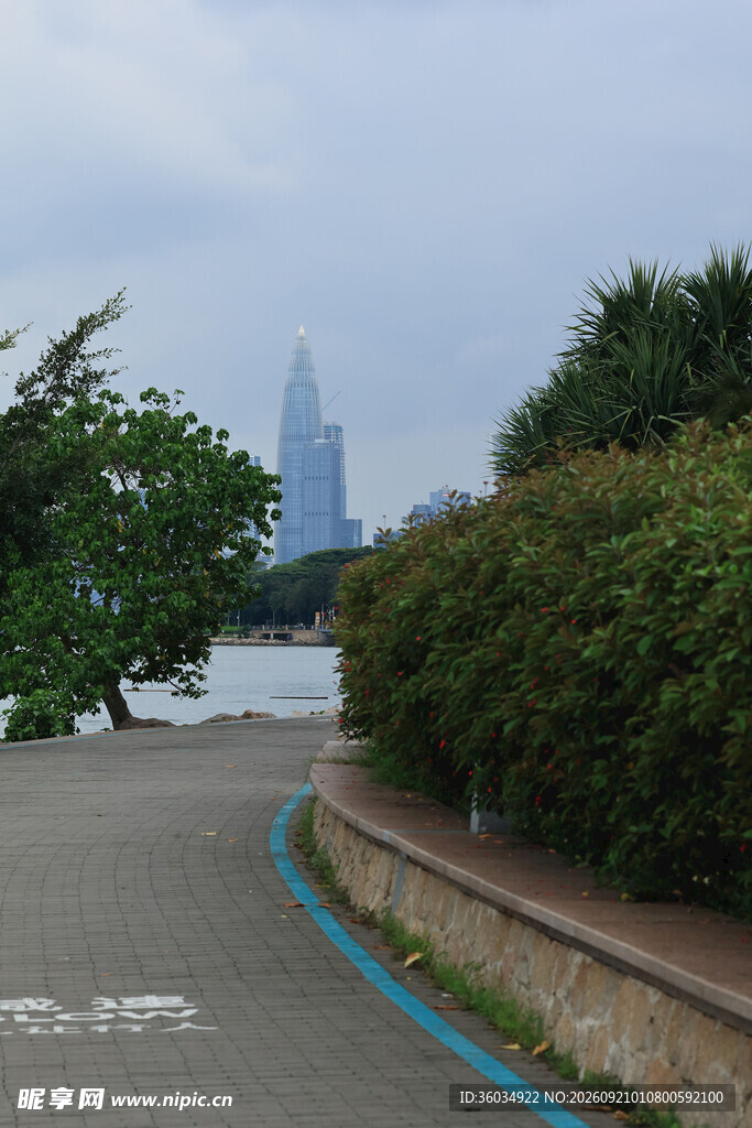 城市河畔风景