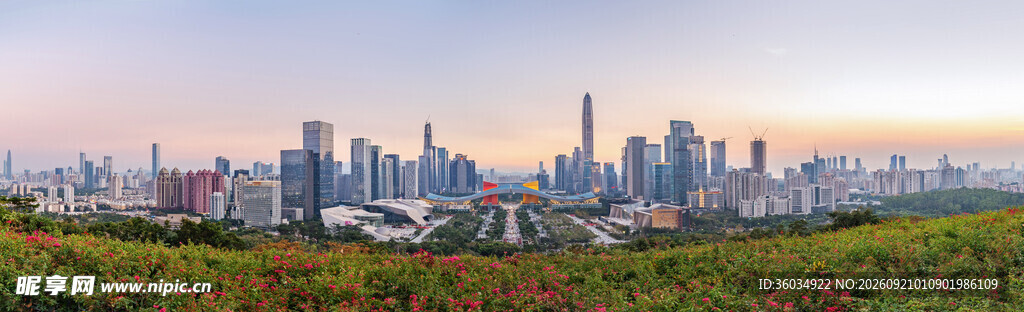 城市天际线与绿植景观