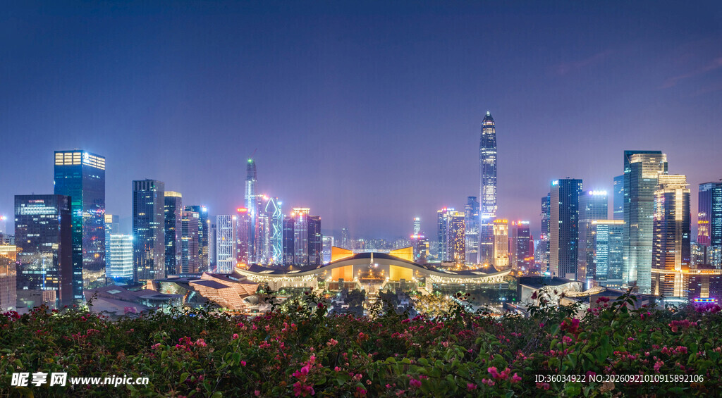 城市夜景下的绚烂花卉景观