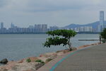 海滨城市风光绿树伴岸