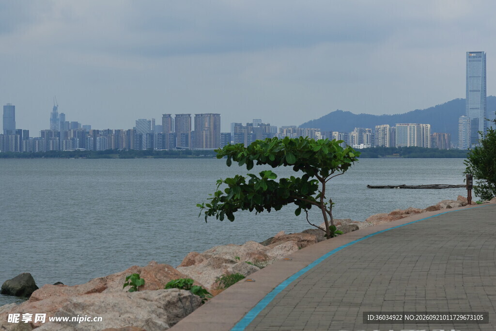 海滨城市风光绿树伴岸