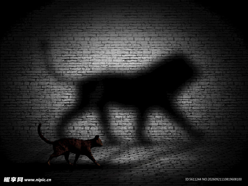 猫与狮子影子的奇妙画面