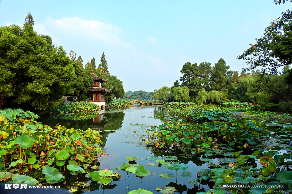 江南荷塘园林湖景