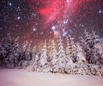 雪夜极光森林盛景