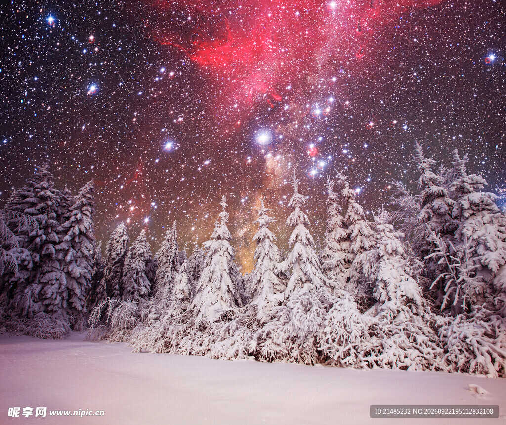 雪夜极光森林盛景