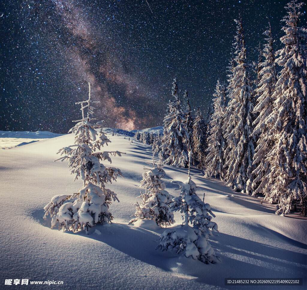 冬夜雪林星空盛景