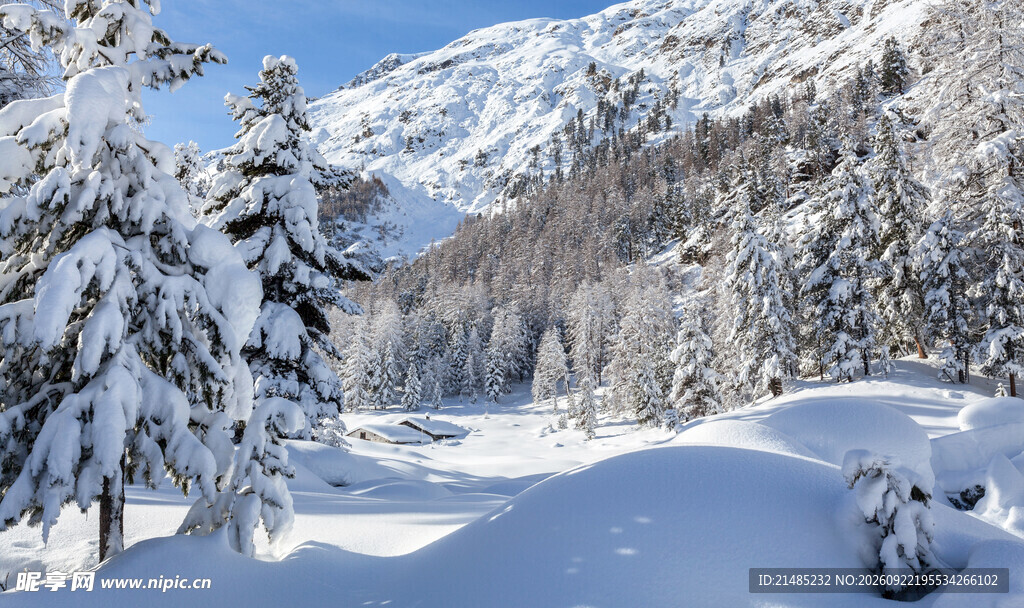 冬日山林雪景风光