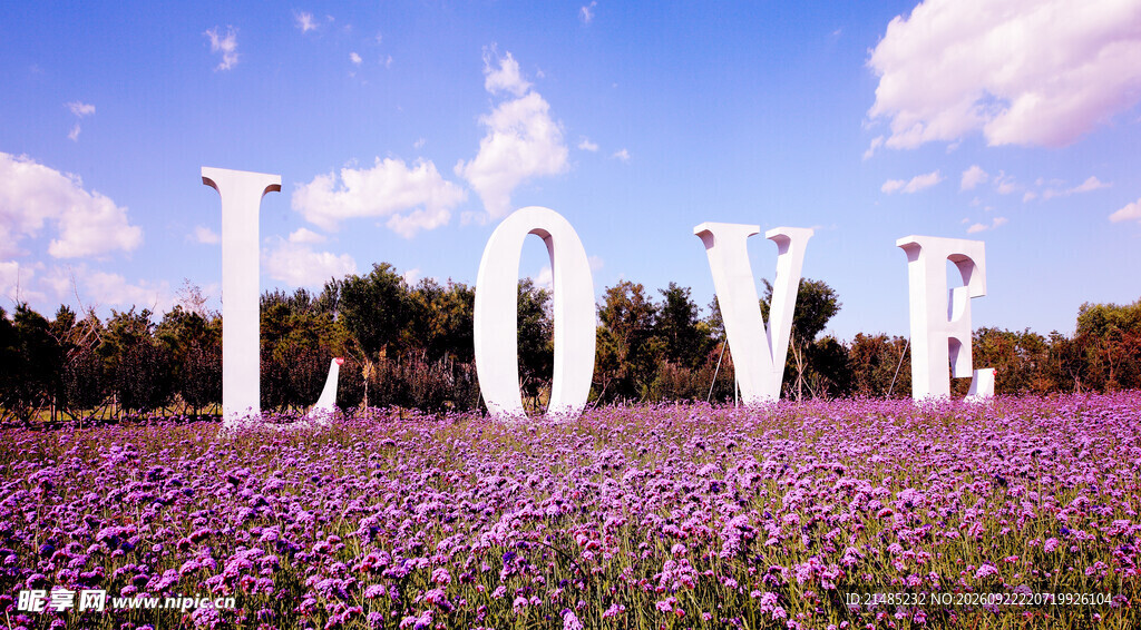 薰衣草花田LOVE风景