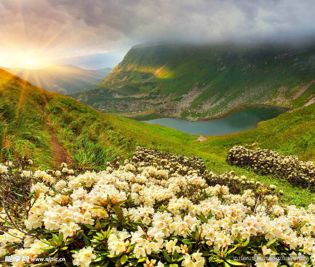 山间花海晨光湖景