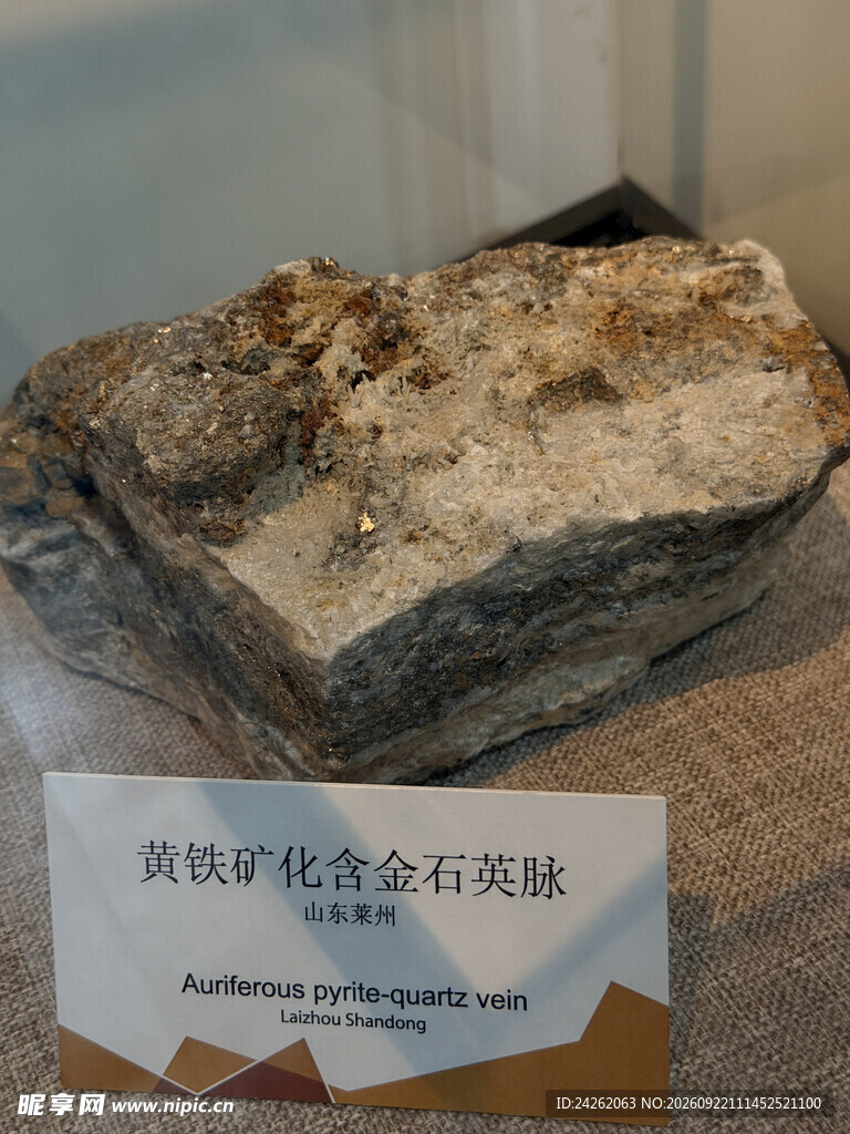黄铁矿化含金石英脉
