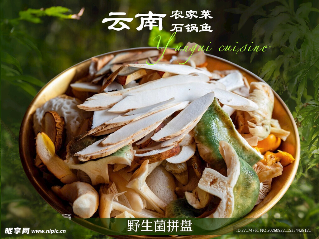 云南农家菜野生菌菜品图