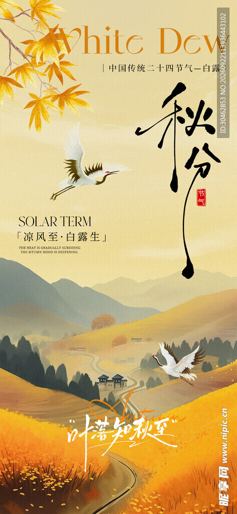 手绘风秋分节气海报