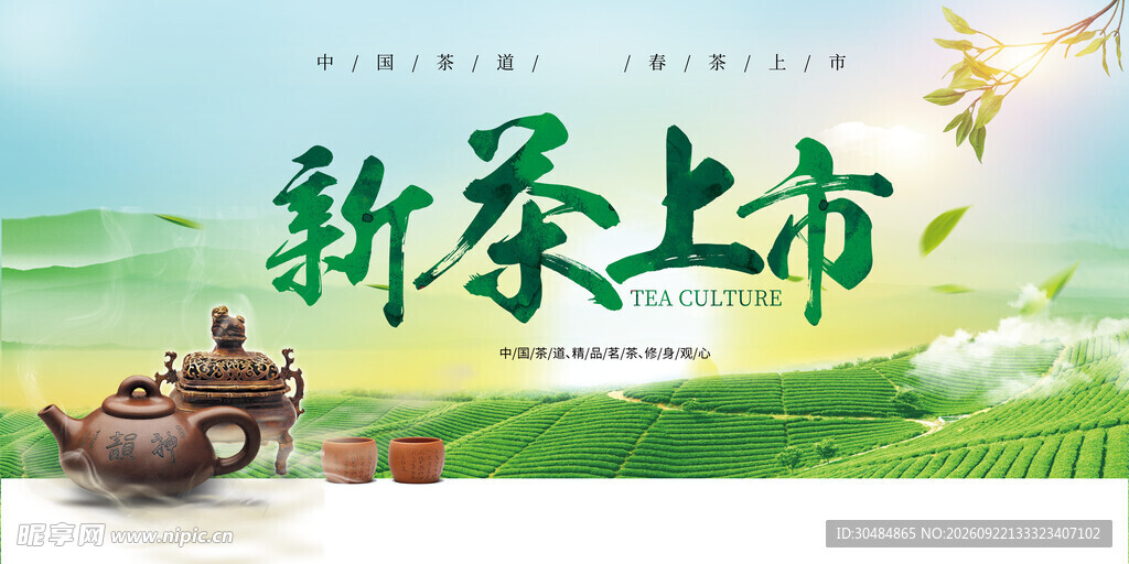 新茶上市