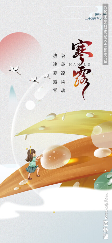 寒露节气海报