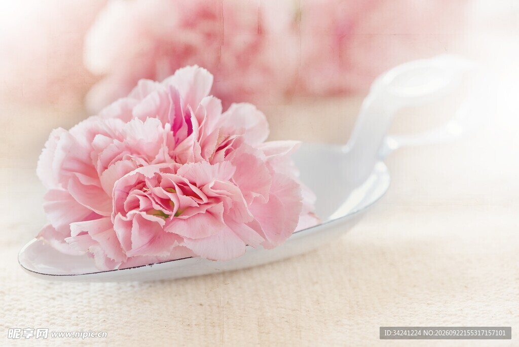 银勺上的粉色鲜花