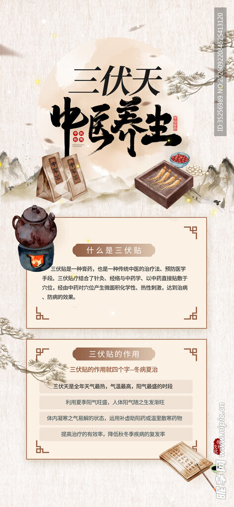三伏天中医养生
