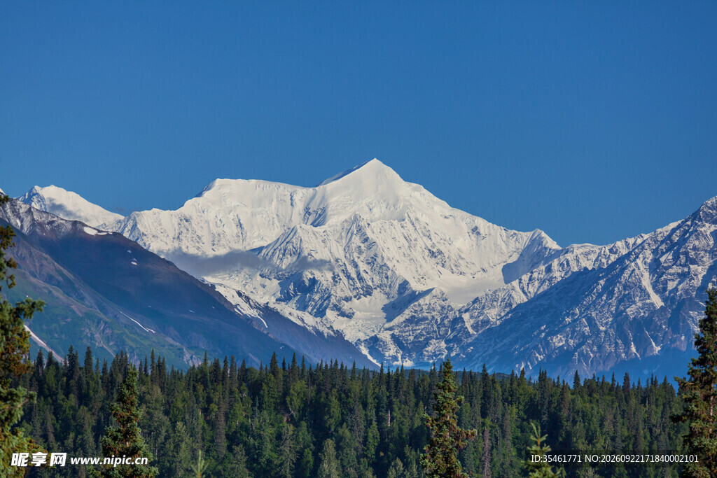 晴日雪山山林风光