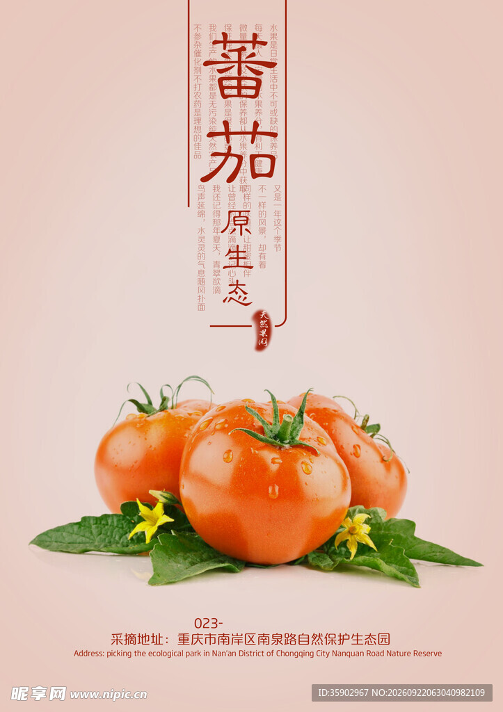 西红柿海报模板素材