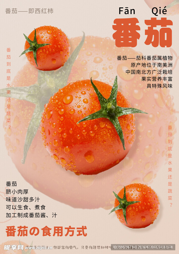 西红柿海报模板
