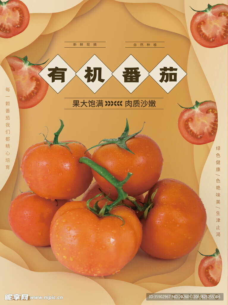 西红柿海报模板素材