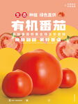 西红柿海报设计模板