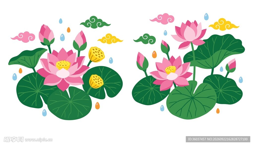 国风荷花素材