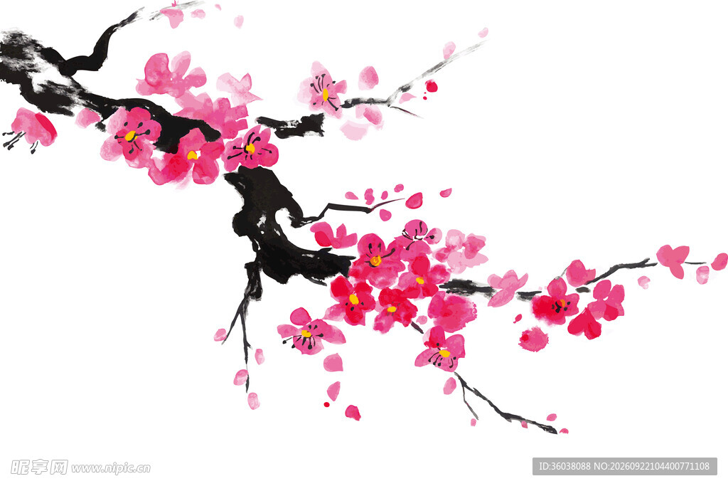 梅花