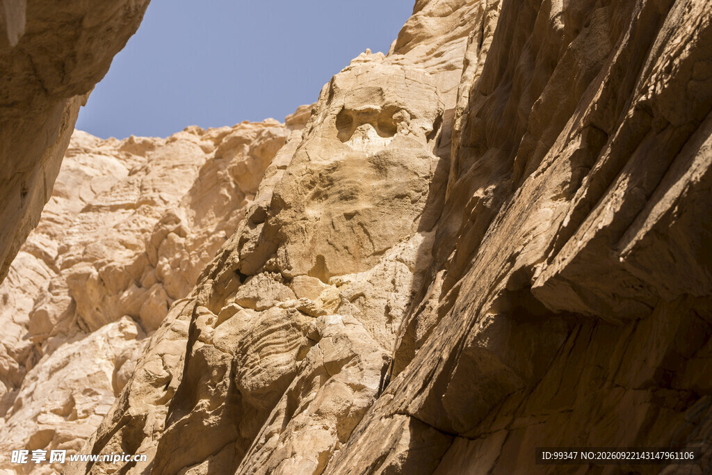 荒漠岩石