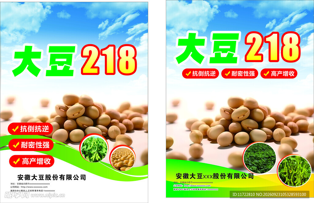 大豆218种子宣传海报