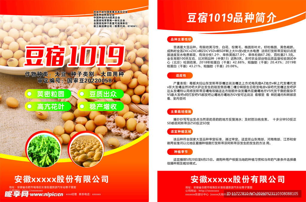 大豆单页大豆宣传单页农作物