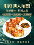 阳澄湖大闸蟹海报