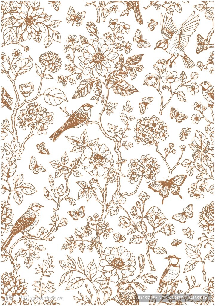 花鸟线稿背景