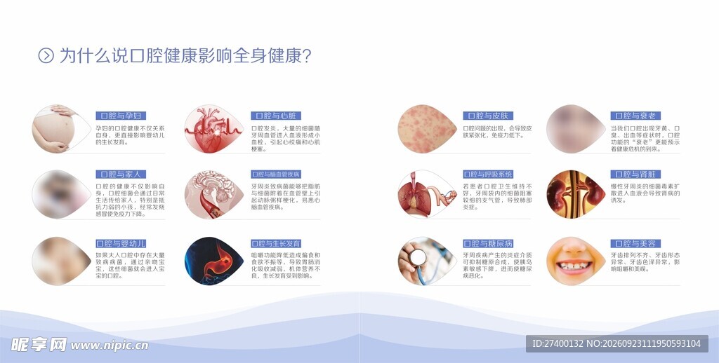 眼球解剖科普示意图