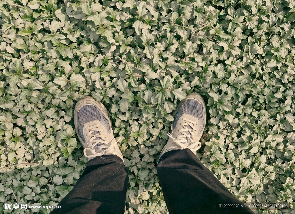 俯拍草地上的双脚