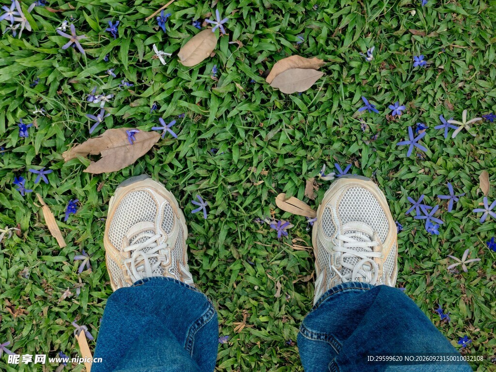 脚下的青草地