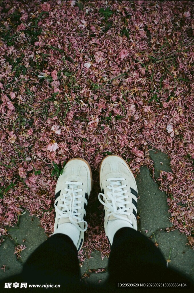 脚下满地粉色落花