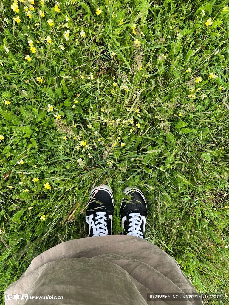 站在草地上的双脚