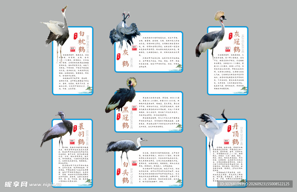 鹤类简介牌
