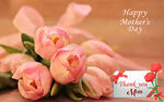 母亲节
