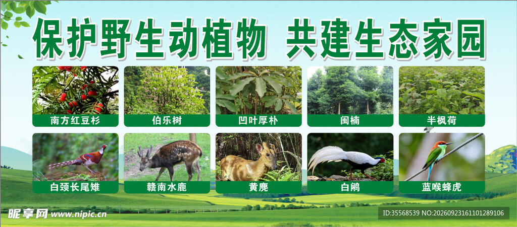 保护野生动植物宣传海报