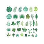 绿植素材合集