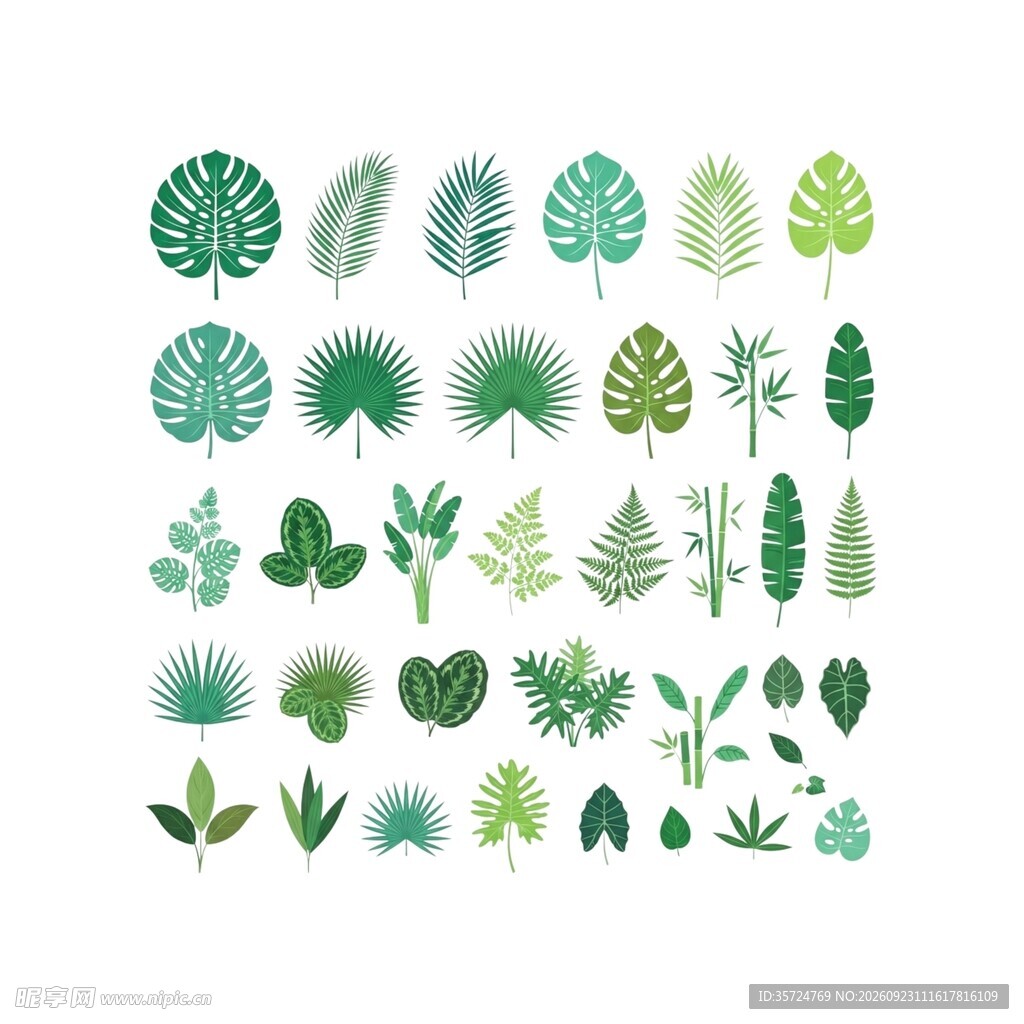 绿植素材合集