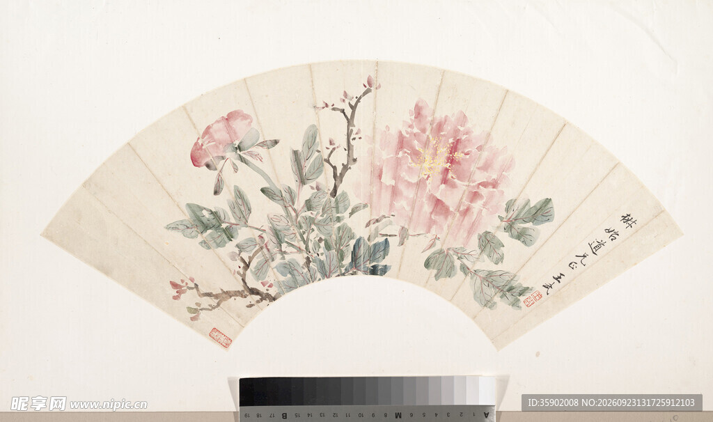 牡丹花卉国画扇面