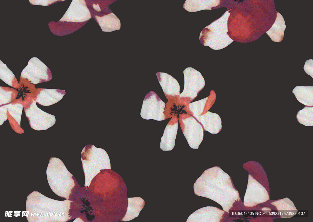 黑底小碎花印花图案