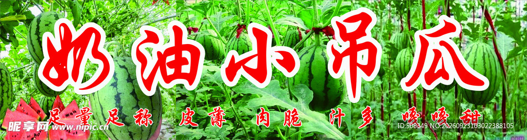 奶油小吊瓜宣传招牌