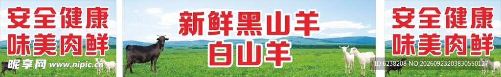 黑白山羊肉批发