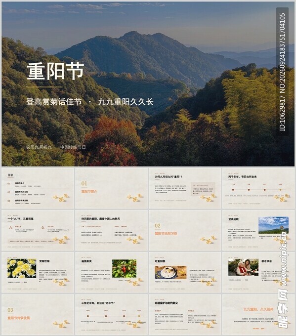 重阳 全市赏菊话佳节